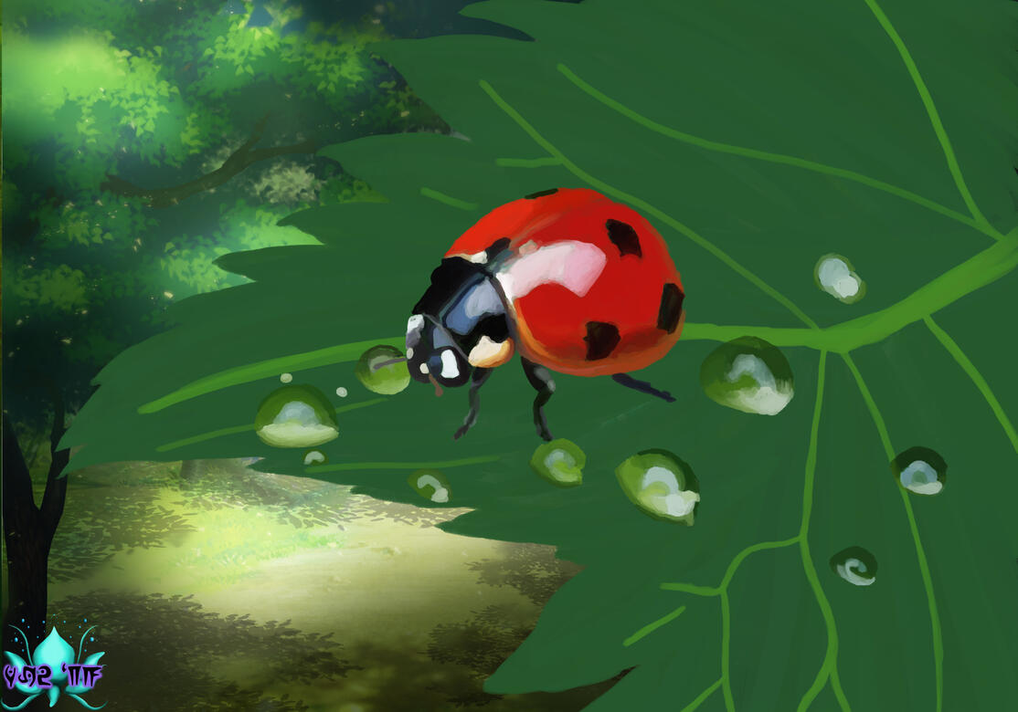 Ladybug